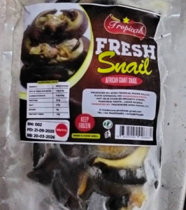 Tropical Fresh Snails